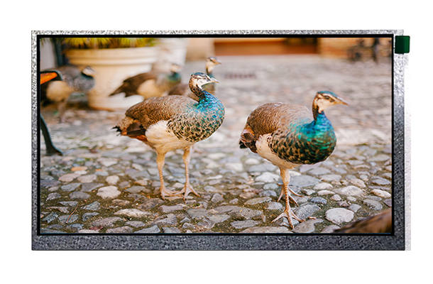 9寸農(nóng)機(jī)觸摸屏 9寸農(nóng)機(jī)觸摸屏