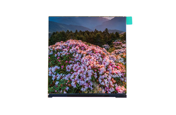 3.95寸 720*720 LCD-TFT液晶屏：方形屏幕的新視覺體驗